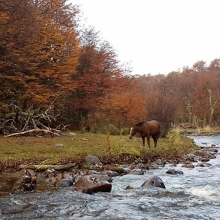 Bosque Holistico Del Fin Del Mundo Ξενοδοχείο Ουσουάια Δωμάτιο φωτογραφία