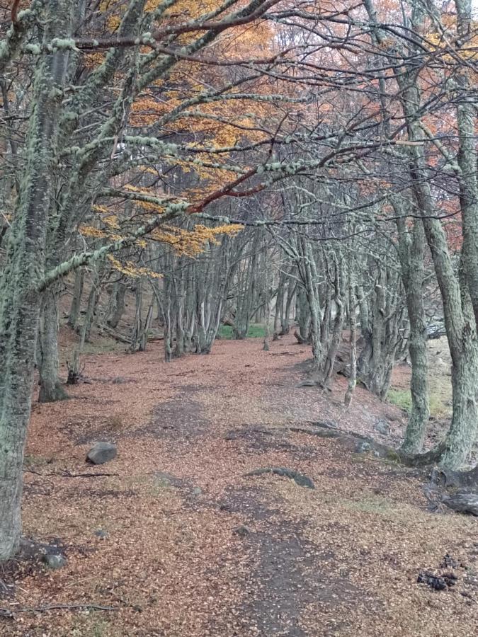 Bosque Holistico Del Fin Del Mundo Ξενοδοχείο Ουσουάια Εξωτερικό φωτογραφία